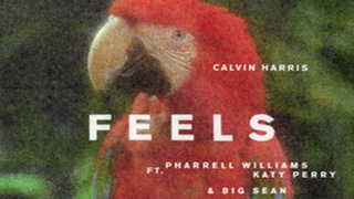 Katy Perry Vacations With Pharrell Williams in ‘Feels’ Music Video
