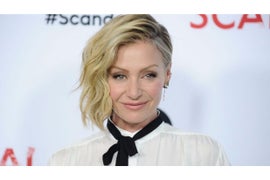 Portia de Rossi Says Steven Seagal Unzipped His Pants During Her Audition With Him