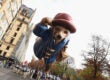Paddington Bear