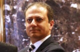 preet bharara