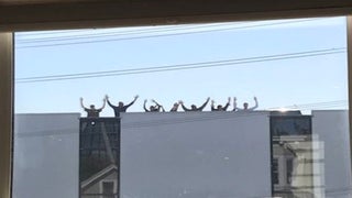 UPS Worker Kills 3 Colleagues in San Francisco Before Turning Gun on Himself