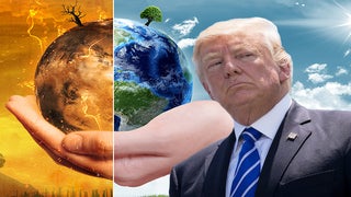 Trump’s Move on Paris Climate Accord Shames Our Democracy