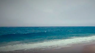 Opie Responds to SiriusXM Firing From the Beach, With a Message About Vagina (Video)
