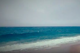 Opie Responds to SiriusXM Firing From the Beach, With a Message About Vagina (Video)