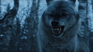 ‘Game of Thrones’ Episode 2 Teaser: Looks Like an Old Friend of Arya Will Return (Video)