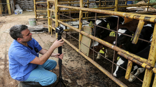 New Virtual Reality Series Exposes Cruel Dairy Farm Conditions