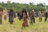 The walking Dead