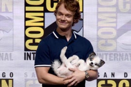 ‘Game of Thrones’ at Comic-Con: No Direwolves, But Theon Brings a Puppy