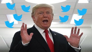 Twitter Mocks Trump for Another Spelling Error: ‘Oh, Heel Never Learn’