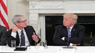 Apple’s Tim Cook Doesn’t Rule Out Run for Political Office