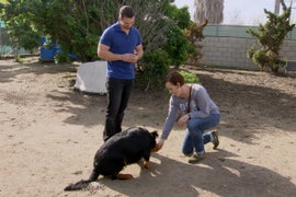 ‘Rescue Dog to Super Dog’ Trainer Wants Your Dog to Die… of Old Age, Surrounded by Family