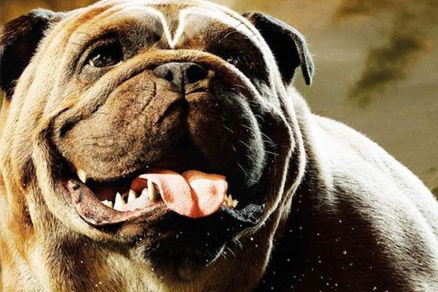 Bulldog Big Cook Xxx Video - Inhumans' Lockjaw Poster Celebrates National Dog Day (Photo)