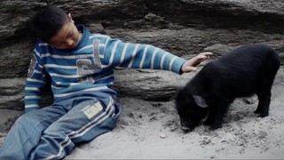 ShortList 2017: ‘Promise’ Captures Rural China Through Bond Between Boy and Pig (Video)