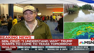 MSNBC’s Katy Tur Blasts Ted Cruz for Hurricane Hypocrisy: ‘It’s Not Political Sniping’ (Video)