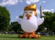 Trump Chicken