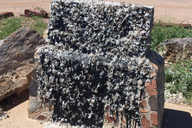 Jefferson Davis Memorial in Arizona Was Literally Tarred and Feathered (Photo)