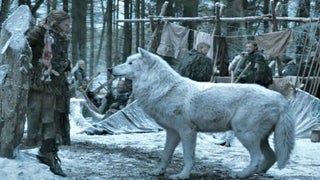 ‘Game of Thrones’: Where the Hell Is Ghost, Jon Snow’s Direwolf?
