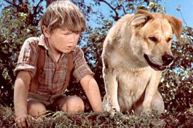 old yeller old yeller
