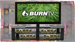 Netflix for Potheads? Welcome to BurnTV, Where Grass Is Always Greener (Video)