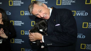 David Lyle, Former Head of Nat Geo and Fremantle, Dies at 67