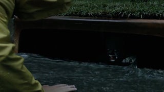 What Would Pennywise Have to Say to Make You Come Down in the Sewer? Twitter Answers