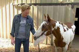 Conan O’Brien Mocks Letterman in Latest ‘Dave the Horse’ Drama (Video)