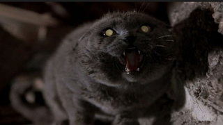 Paramount Picks Directors for Remake of Stephen King’s ‘Pet Sematary’