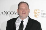 harvey weinstein