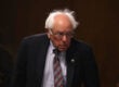 bernie sanders