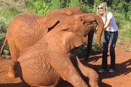 Ellen, Gisele, More Stars Fight Trump’s Elephant Trophy Policy: ‘It’s Savage and Pointless’