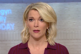 Megyn Kelly Says She’s Pro-Fat Shaming: ‘Some of Us Want to Be Shamed’ (Video)