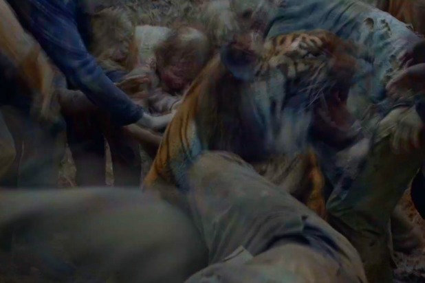 amc the walking dead shiva death amc the walking dead shiva death