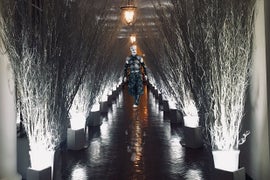 Twitter Wonders If the Night King Inspired White House Christmas Decorations