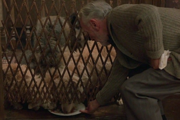 Moonstruck Old Man Dogs Moonstruck Old Man Dogs