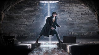 ‘Fantastic Beasts: The Crimes of Grindelwald’ First Look Includes Jude Law’s Young Dumbledore (Photos)