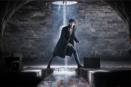 ‘Fantastic Beasts: The Crimes of Grindelwald’ First Look Includes Jude Law’s Young Dumbledore (Photos)