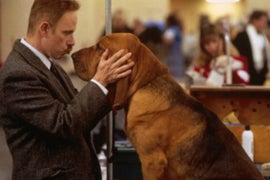 Westminster Dog Owners Don’t Want You to Think They’re Like ‘Best in Show’ Movie Characters