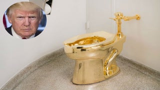 Guggenheim Museum Trolled Trump With Solid Gold Toilet When He Asked for a Van Gogh