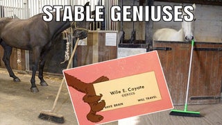 Trump Calls Himself a Genius, Let the Memes Begin!