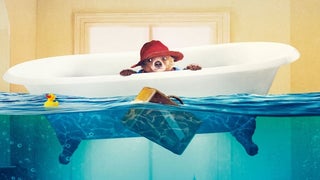 How Paddington Bear Kept The Weinstein Company Afloat