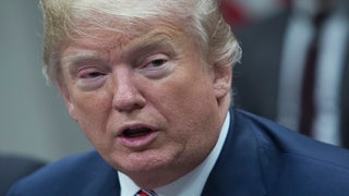 Trump Repeats NRA Talking Points: ‘I Want My Schools Protected Just Like… Banks’