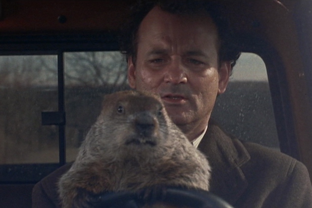 Groundhog Day Groundhog Day