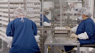 Flu Season So Bad Discovery Just Ordered New ‘Influenza’ Documentary (Exclusive)