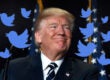 trump twitter storm