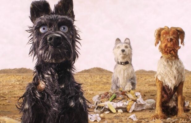 Isle Of Dogs Film Review Wes Anderson S Fetching Animated Tale Features His Pet Obsessions