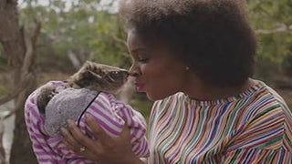 Watch ‘Late Night’ Correspondent Cuddle With Baby Koalas to ‘Forget Who the President Is’ (Video)