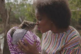 Watch ‘Late Night’ Correspondent Cuddle With Baby Koalas to ‘Forget Who the President Is’ (Video)