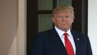 Piers Morgan Rips Trump’s ‘Gutless Surrender to the NRA’: ‘Weak, Spineless Stooge’