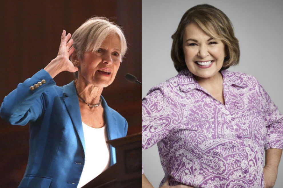 Jill Stein Roseanne Barr Who Is Jill Stein