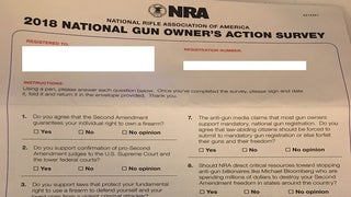 School Walkout Wednesday Draws Headlines, But NRA Fights Back With Quiet Mail Campaign